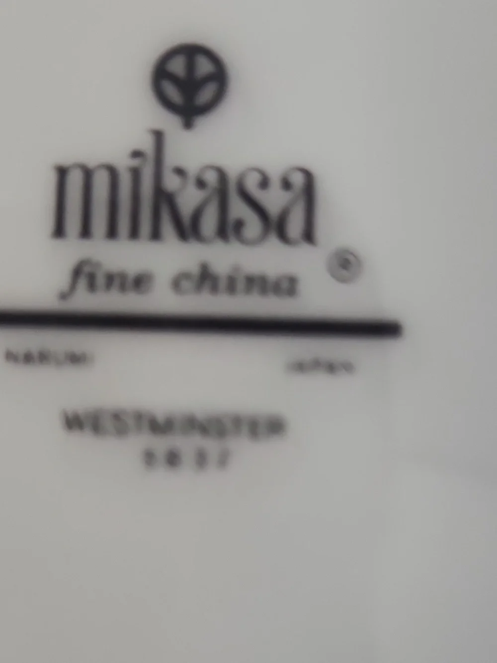 Mikasa White Dinner Plates with Silver Trim